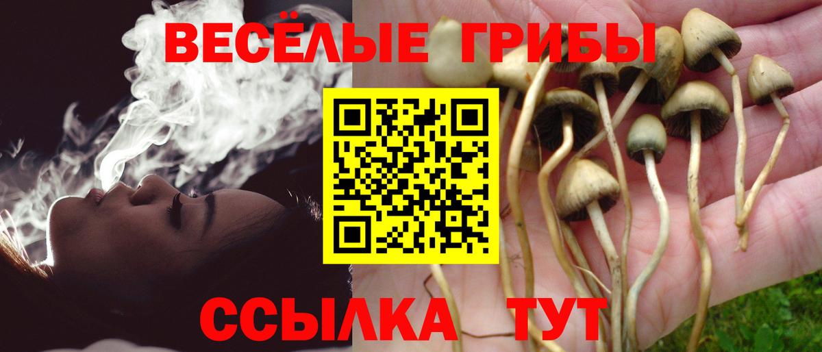 Псилоцибиновые грибы мицелий Черкесск
