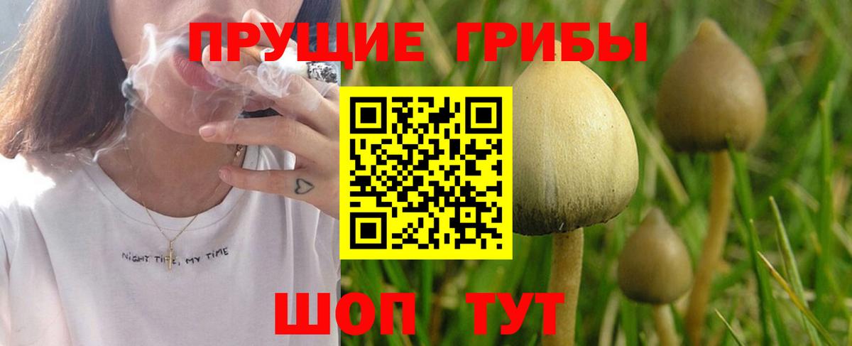 Галлюциногенные грибы MAGIC MUSHROOMS  Вход с VPN  Черкесск 